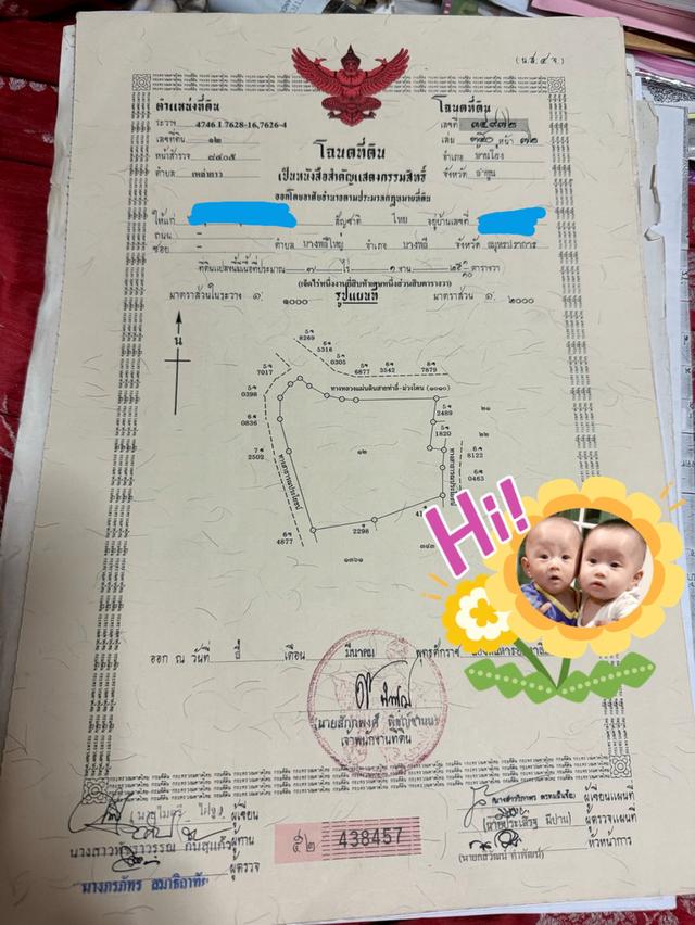 สวนมะม่วงกลางชุมชน 9ไร่ อ.บ้านโฮ่ง ลำพูน 1