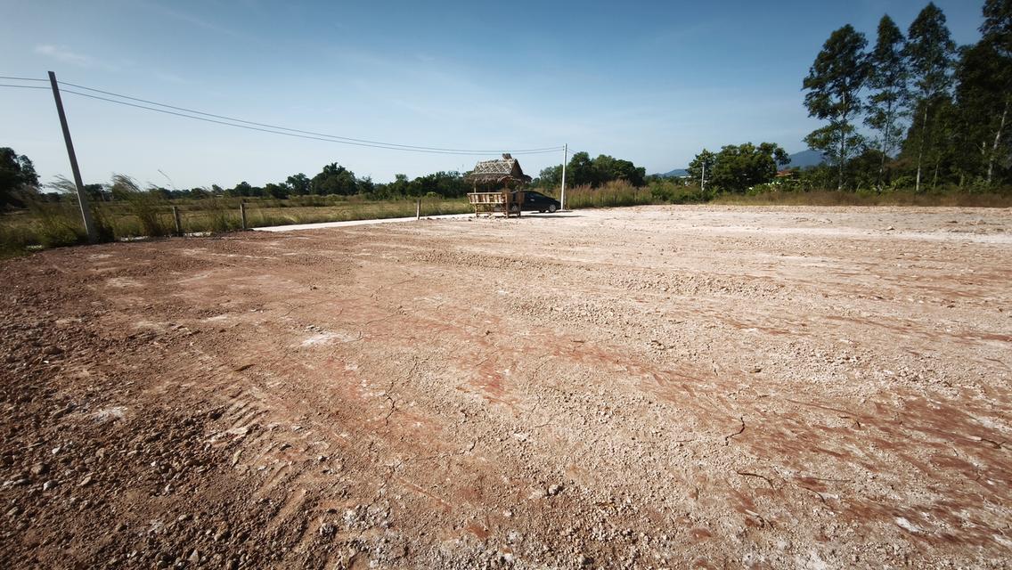 ขายที่ดิน เมืองนครนายก แปลงสวย วิวเขา ติดถนนคอนกรีต น้ำ-ไฟพร้อม มี 2ขนาด 100ตร.วา กับ 1ไร่ นครนายก 6