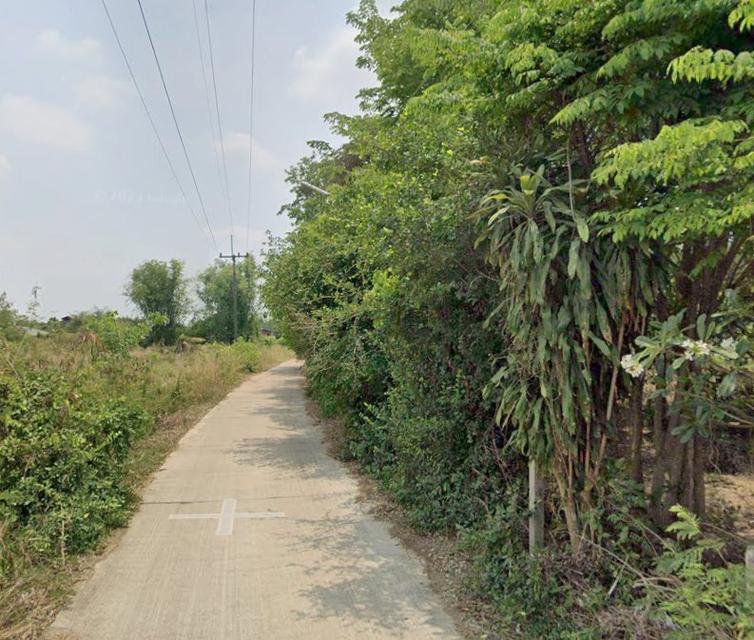 ขายที่ดินบ้านซ่อง 3 ไร่ ติดถนนคอนกรีต ติดฝายน้ำใกล้ถนนสี่เลน319-500เมตร อ.พนมสารคาม ฉะเชิงเทรา 3