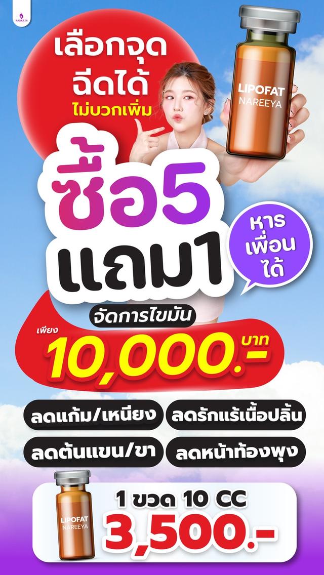 แฟตสลายไขมัน lipo fat