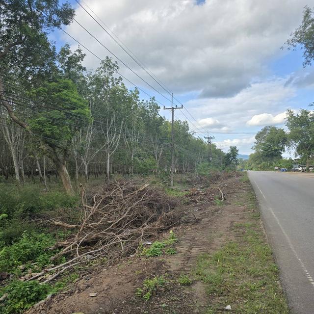 ขายสวนยางผืนใหญ่  อ.แกลง จ.ระยอง เนื้อที่ 80 ไร่ 221 ตร.ว. ติดถนนลาดยาง ใกล้สุขุมวิท 3 กม. 4