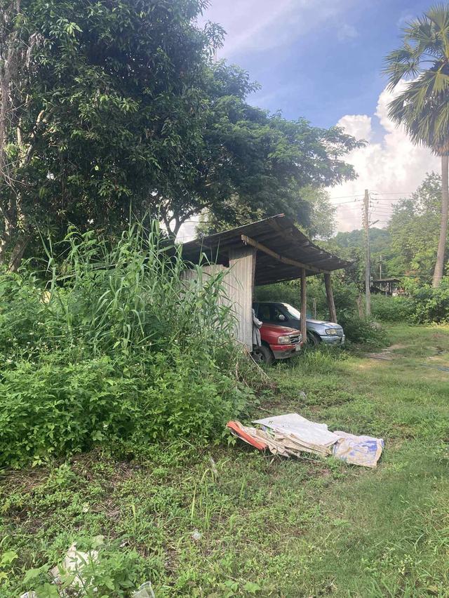 ขายบ้านพร้อมที่ดิน  เนื้อที่ 2ไร่ 2 งาน 74 ตรว ค่ะ 🏠 🏡บ้านห้วยไร่ อำเภอเด่นชัย จังหวัดแพร่ 2