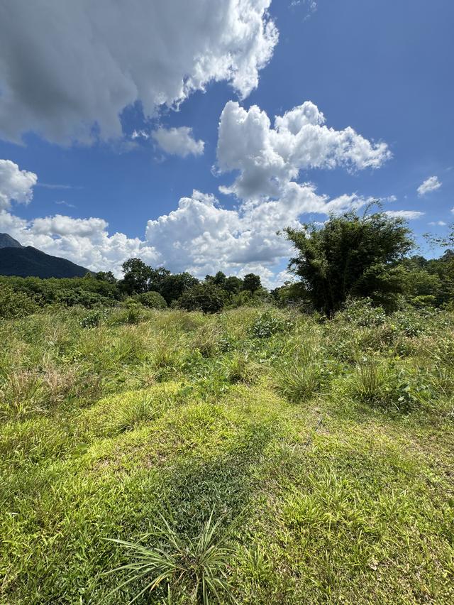 ที่ดินแถวอำเภอช้างกลาง จังหวัดนครศรีธรรมราช 1