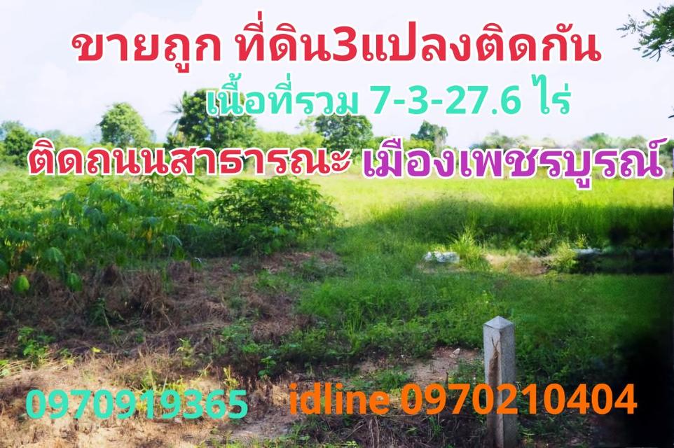 ขาย ที่ดิน เมืองเพชรบูรณ์ 7 ไร่ 3 งาน 27.6 ตร.วา ติดถนนสาธารณะ เหมาะทำบ้านสวนเกษตร 1