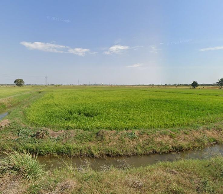 ขายที่ดินบางขวัญแปดริ้ว 22 ไร่ ซอยบางขวัญ18/1 ใกล้ถนนวงแหวนเลี่ยงเมือง365-2กม. เมืองฉะเชิงเทรา 9