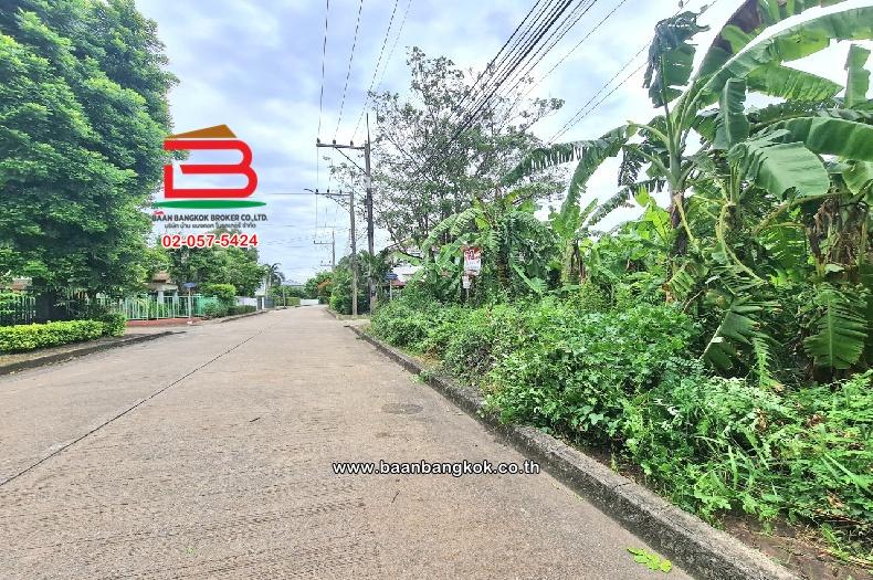ที่ดินเปล่า หมู่บ้านปาริชาต 345 (โซน B ซอย 15) เนื้อที่ 81 ตร.ว ตำบลบางคูวัด อำเภอเมืองปทุมธานี ปทุมธานี 4