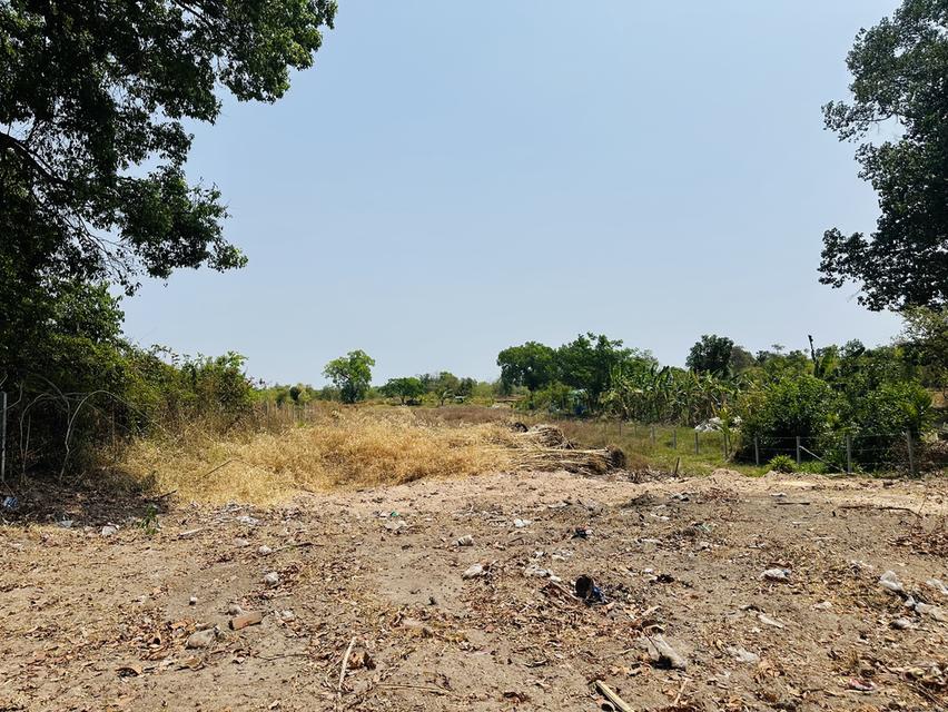 ขายด่วนที่ดินแถมบ้าน อำเภอเมืองอุบลราชธานี ใกล้สนามบินอุบล 19