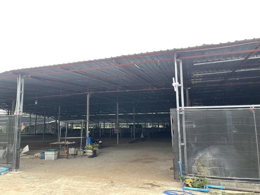 ขายที่ดินสวย ลดราคาพิเศษ พร้อมสิ่งปลูกสร้าง โรงเรือน 9 ไร่ ต.บ้านใหม่ อ.ท่าม่วง จ.กาญจนบุรี 7