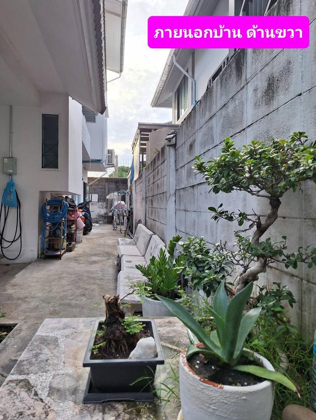 ขายบ้านเดี่ยว 2 ชั้น (สร้างเพิ่มเติมด้านหลังอีก 1 อาคาร 3 ชั้น) 55 ตร.วา (พื้นที่จริง 59 ตร.วา) ม.ลาดพร้าววิลเลจ นาคนิวาส 42 10