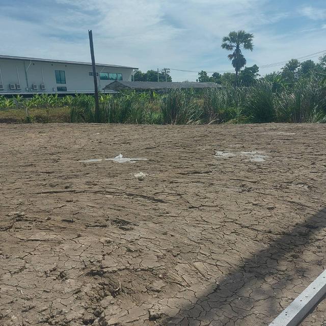 ที่ดินเปล่า​2ไร่215ตารางวา 5