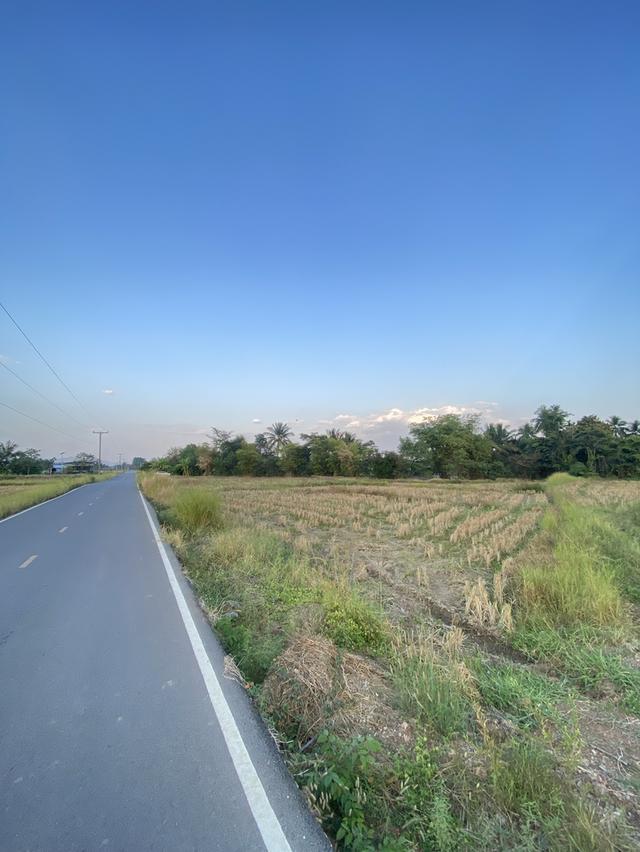 ขายที่ดินทางไปอ.ภูผาม่าน จ.ขอนแก่น 1