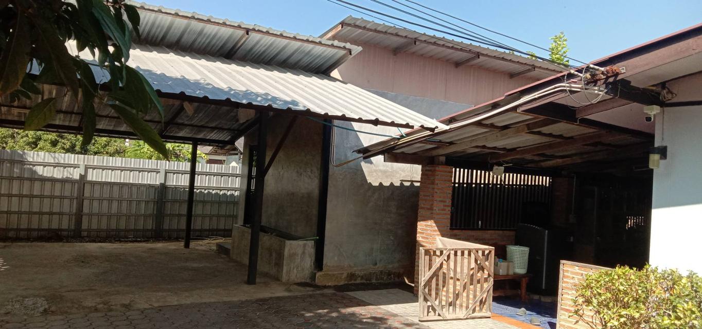 (ขายถูก)บ้าน 3 หลัง พร้อมที่ดิน อ.ดอยสะเก็ด เชียงใหม่ 11