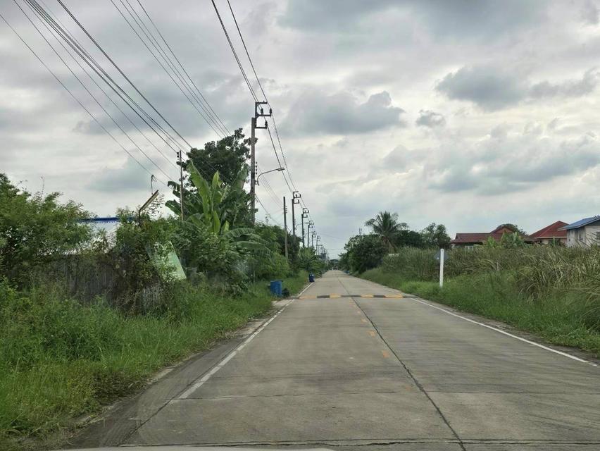 ที่ดิน 8