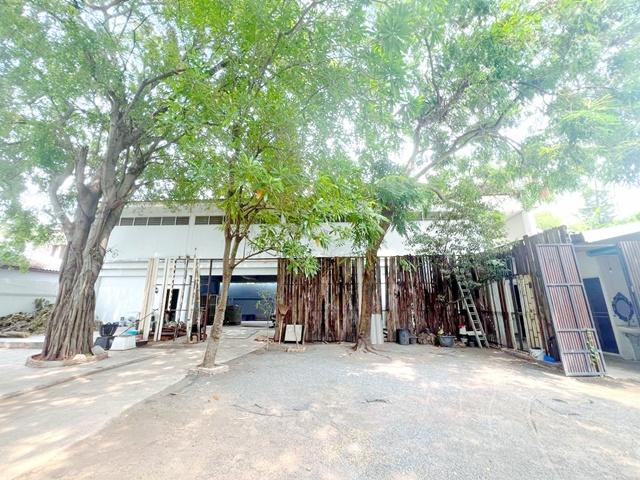 เช่า-ขายที่ดินพร้อม ตลาดเอกมัย 1กม.1,725ตร.มซ.สุขุมวิท 47-51 อาคาร 2 ชั้น 1ไร่ 35 ตร.วา.ทองหล่อ 21-25MRT รฟม.1.6 กม.วิวส 1