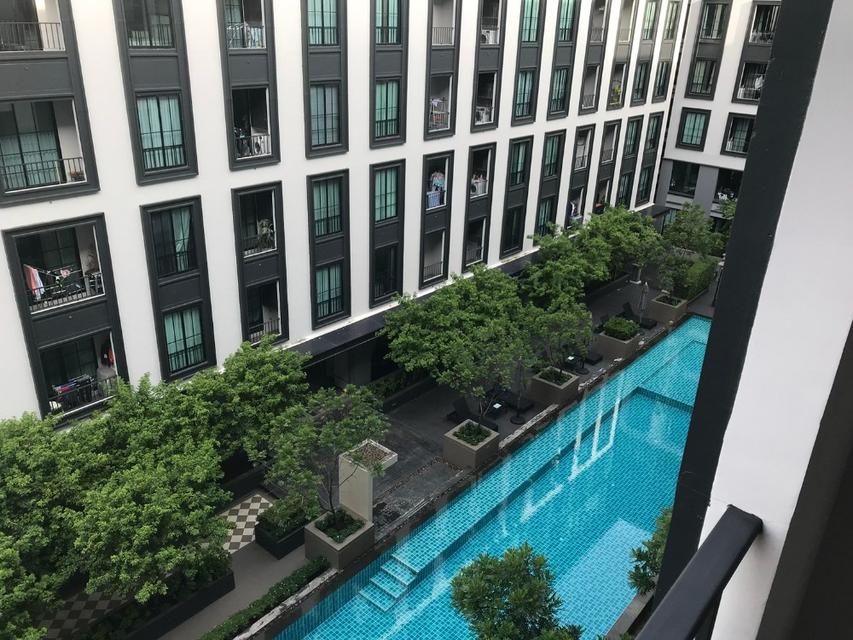 The Reserve Kasemsan 3 ห้องสวยให้เช่าราคาสุดพิเศษ 3