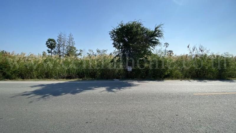 ที่ดิน 3 ไร่ 25 ตร.วา นครชัยศรี - นครปฐม ติดมอเตอร์เวย์ M81 6