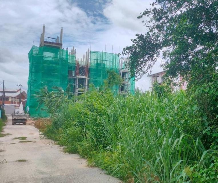 ขายที่ดินปลวกแดงเริ่มต้นเนื้อที่ 58 ตรว. ทำเลดีหลังCKปลวกแดง อ.ปลวกแดง ระยอง 1