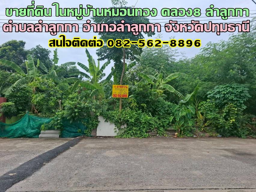 ขายที่ดิน ในหมู่บ้านหมอนทอง คลอง8 ลำลูกกา 1