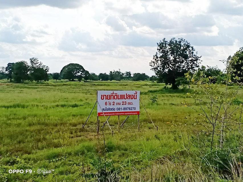 ขายด่วน! ที่ดินชัยภูมิ ราคาต่ำกว่าประเมิน เนื้อที่ 6-2-23 ไร่ ทำเลดี ตำบลหนองบัวใหญ่ อำเภอจัตุรัส จังหวัดชัยภูมิ 1