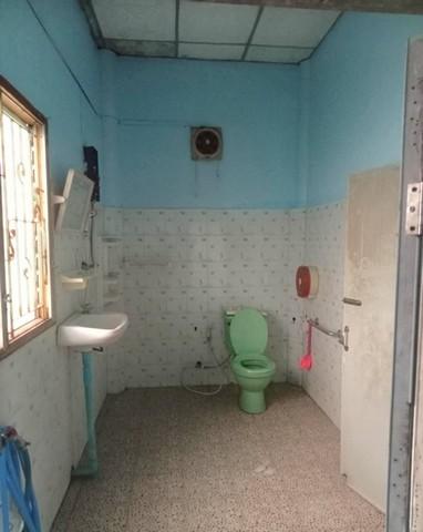 ให้เช่าบ้านชั้นเดียว เล่นระดับ 50ตรว. วิวบึงน้ำ บ่อปลา อยู่อ.บางเลน นครปฐม ใกล้วัดเกาะแรต 8