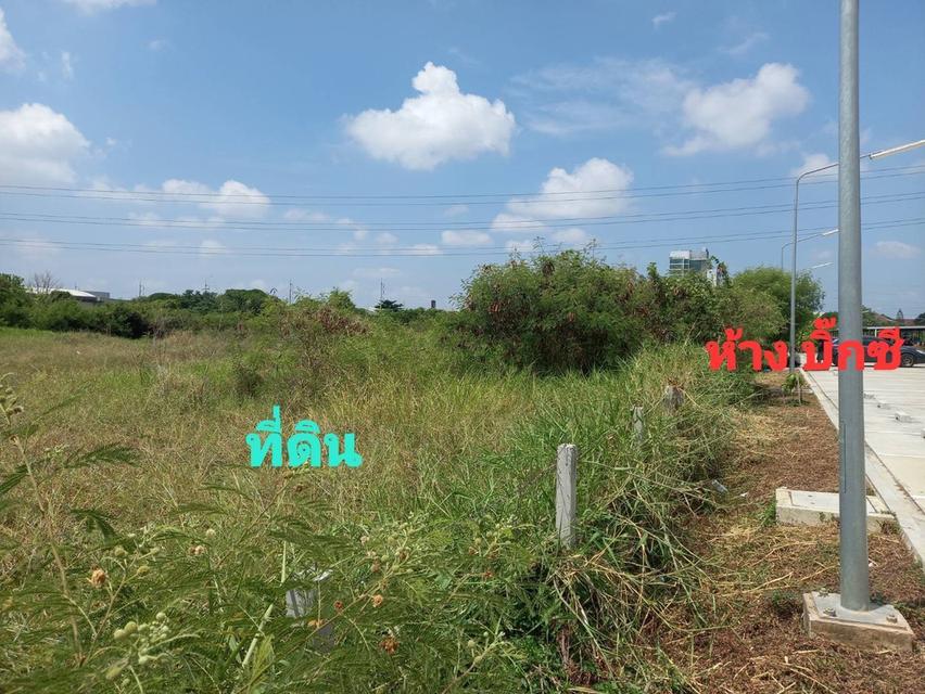 ขายที่ดิน ถมแล้ว ติดถนนหนามแดง - บางพลี 2