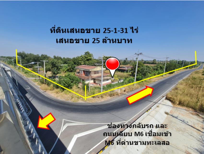 ขาย ที่ดิน ติดถนนสายขามทะเลสอ-โนนไทย  ทล.2068  เชื่อมออกทางหลวงพิเศษ M6 ได้ เนื้อที่ 25 ไร่ 1 งาน 31 ตรว ราคายุติธรรม 5