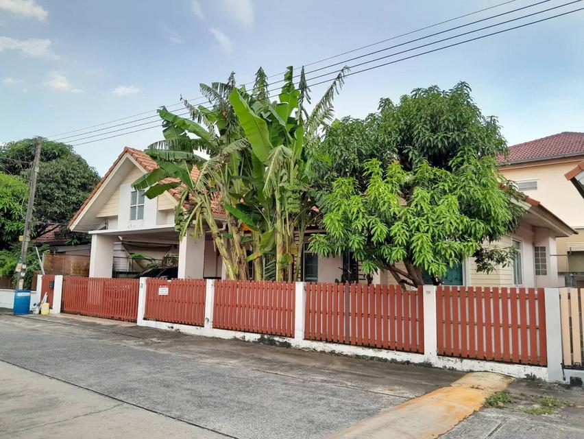 ให้เช่าบ้านเดี่ยว ชั้นเดียว หลังใหญ่ ลำลูกกา คลอง 7 ธัญบุรี 3