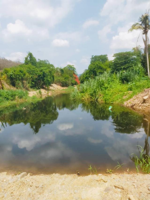 ขายที่ดิน ป่าละอู ห้วยสัตว์ใหญ่ หัวหิน สวนทุเรียน ยางพารา 22 ไร่เศษ พร้อมบ้าน 1 หลัง 9