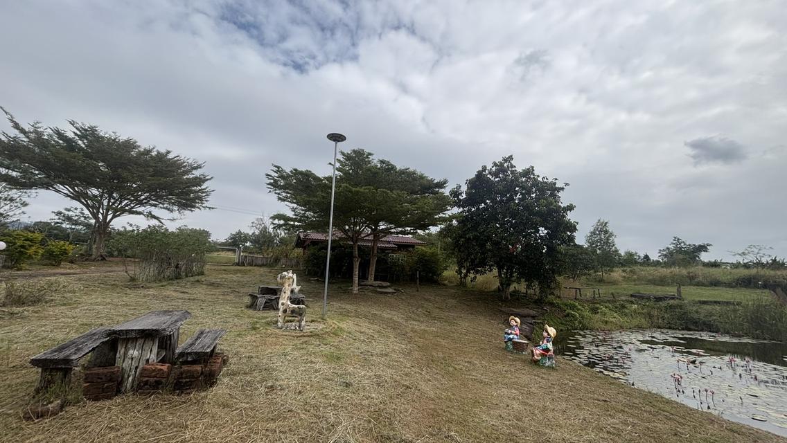 ทอไหม ไอหมอก รีสอร์ท 8 ไร่ 9.5 ล้าน บ.ไทรทอง อ.วังน้ำเขียว 9