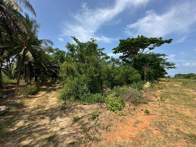 ขาย ที่ดิน สถานที่ใกล้ อุทยานแห่งชาติกุยบุรี ทะเลอ่าวประจวบ , อ่าวมะนาว 18,000,000 บาท 6