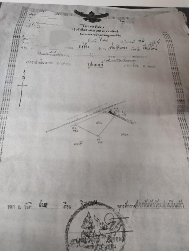 ที่ดินว่างเปล่าอ.สันกำวันนี้เป็นที่นาแต่วันหน้าอาจเป็นทำเลทอง สมบัติผลัดกันชมตาม หาเจ้าของใหม่  #ขายที่ดิน537ตารางวา ติดถนนทางหลวงแผ่น 1