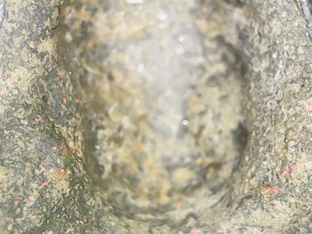 พระกำแพงซุ้มกอ พิมพ์ใหญ่มีกนก 3