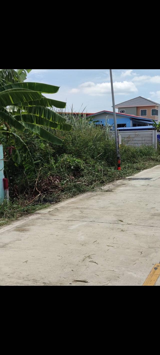 ที่ดิน ซอยบงกช71 คลองสอง ปทุมธานี 2