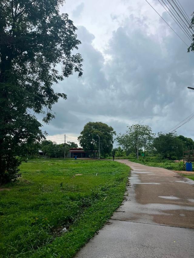 ขายที่ดิน1ไร่ ต.หนองกี่ อ.กบินทร์บุรี ติดถนนคอนกรีตรอบแปลง มีไฟฟ้า น้ำ 7