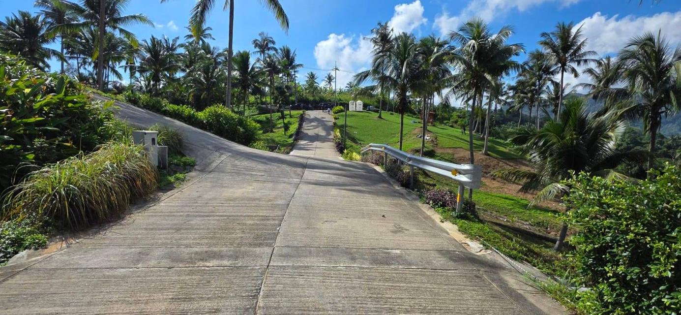 ที่ดินซีวิวบนเกาะสมุยอากาศดีถนนไฟฟ้าพร้อม 10