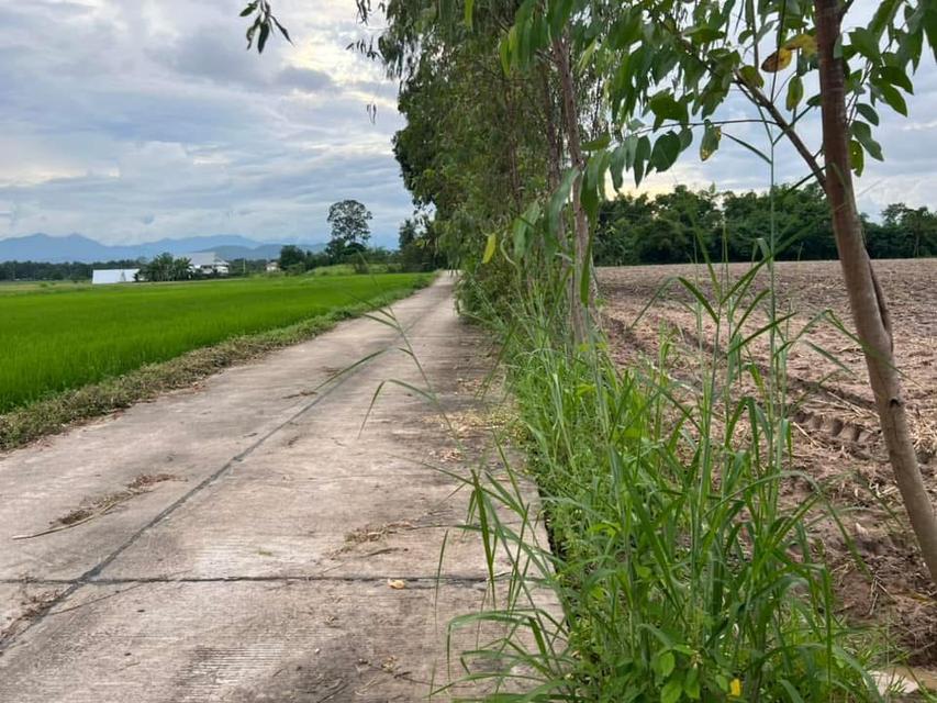 ขายที่ดิน12ไร่ จังหวัดอุทัยธานี