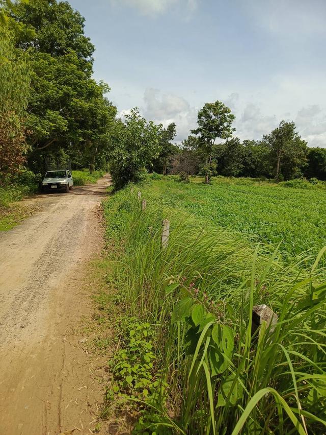ขายที่ดิน 7 ไร่ ติดถนน 2 ด้าน ใกล้ ม.อุบล 8