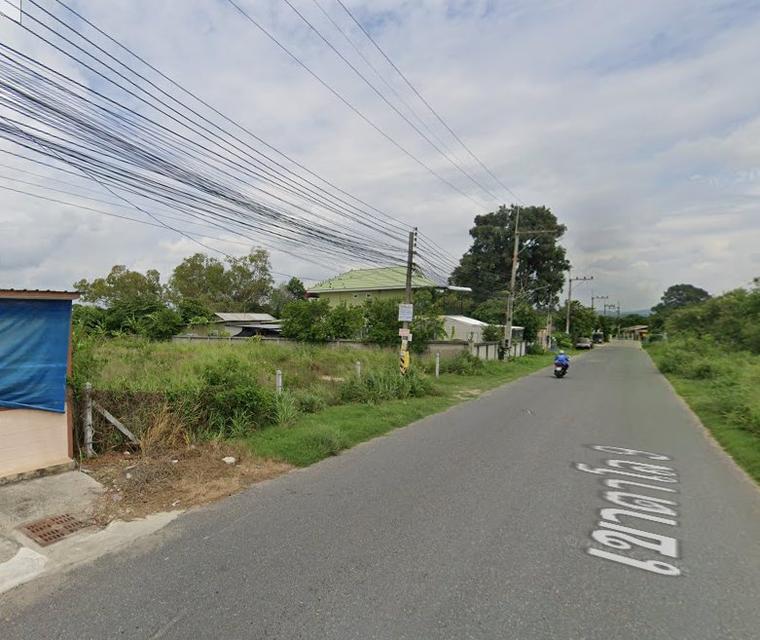 ขายที่ดินหนองปรือ พัทยา 391 ตรว. ซอยเขาตาโล9 ใกล้ถนนสุขุมวิท3-2.8กม. บางละมุง ชลบุรี 5