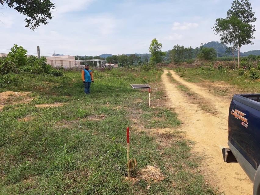 ✨ ที่ดินทำเลทอง ติดถนนใหญ่ ใจกลางถลาง ภูเก็ต📍 ติด HomePro และ Dynasty Tiletop✔ ทำเลเชิงพาณิชย์ ศักยภาพสูงมาก✔ หน้ากว้างติดถนน รถใหญ่เข้าออกสะดวก✔ 7