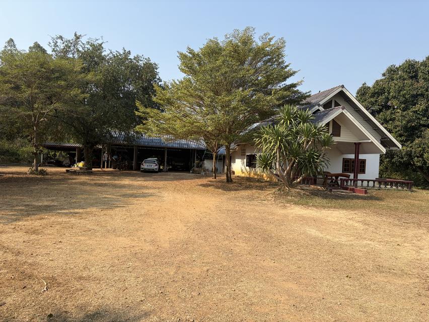 ขายบ้าน พร้อมที่ดิน สวนผลไม้ 19 ไร่ 2 งาน อ.ไทรโยค จ.กาจญจนบุรี 1