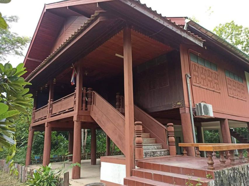 ขาย บ้านสวนจอมปิง ลำปาง บ้านเดี่ยวไม้สักใต้ถุนสูง 2 ห้องนอน 2 ห้องน้ำ  พร้อมสวนลำไย พื้นที่รวม 5 ไร่ 1