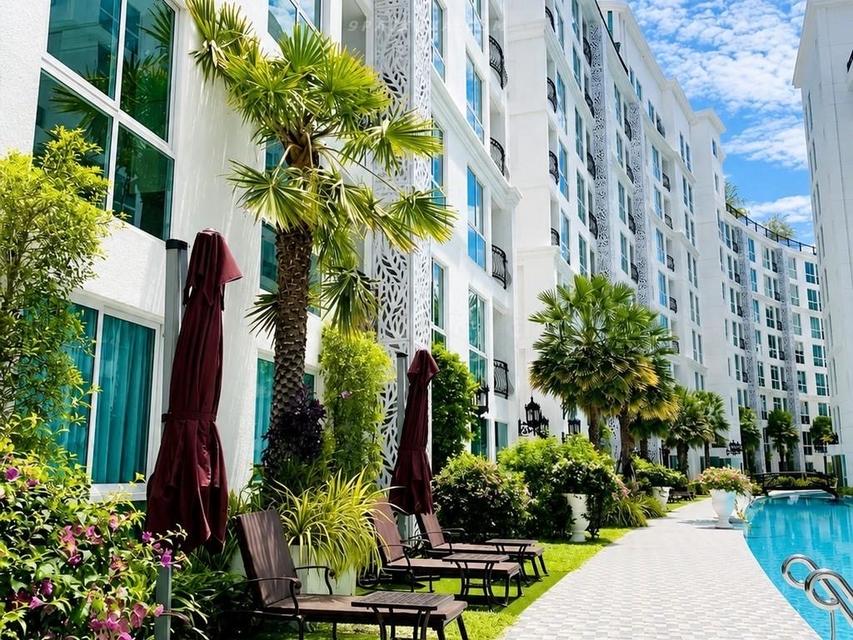 For Rent — 1-Bedroom Condo at Olympus City Garden PattayaAvailable condo for rent at Olympus City Garden Pattaya, located in the city center 2