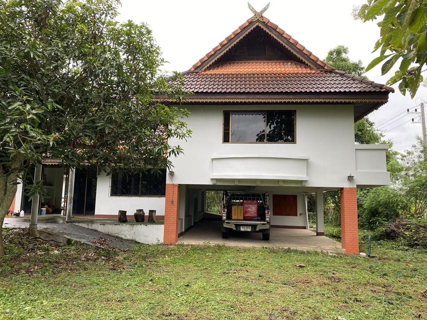 บ้านพร้อมที่ดิน 11
