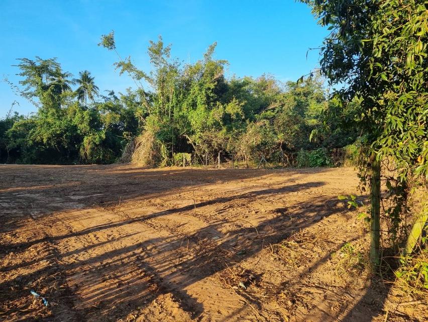 ขายที่ดินติดลำห้วยจังหวัดเชียงใหม่ อำเภอแม่แตง 3