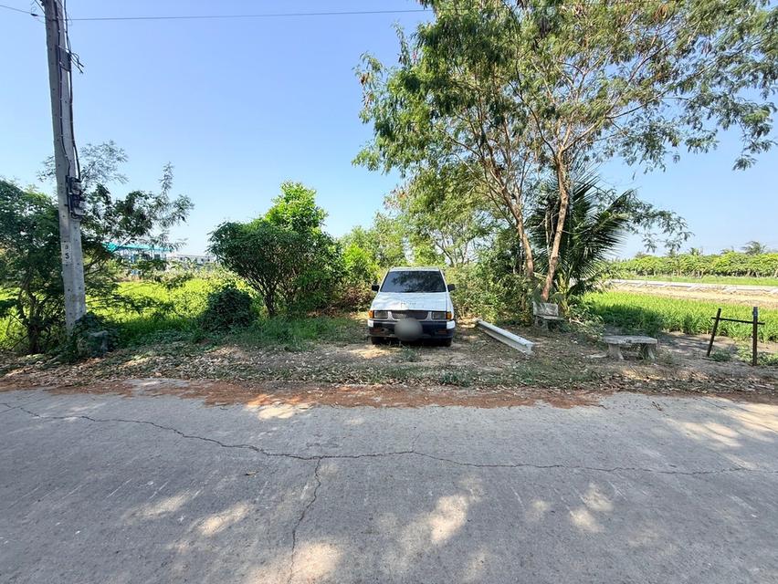 ขายด่วนที่ดิน 100 ตรว ติดถนนคอนกรีต ซ.เคหะการเกษตร1 ไทรน้อย นนทบุรี 2