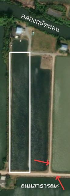 ที่ดินบ่อกุ้ง6ไร่จังหวัดสมุทรสาคร 1