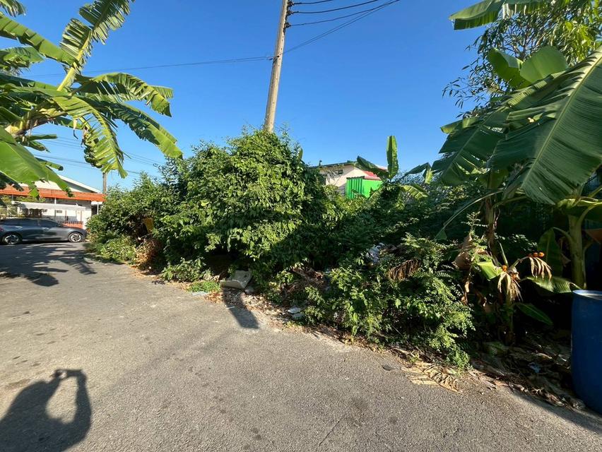 ขายที่ดินเปล่า ชุมชนเคหะวัดไพร่ฟ้า ถนนราชพฤกษ์ 2