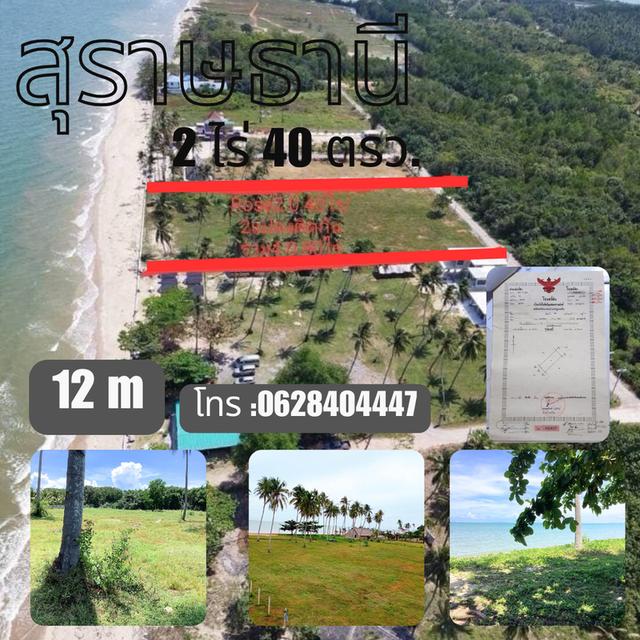 ที่ดินติดะเล 1