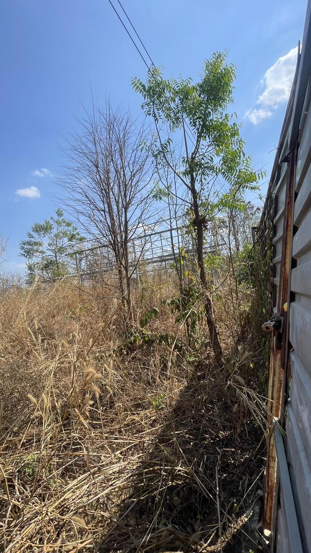 ขายที่ดินพนัสนิคม ชลบุรี พร้อมสิ่งปลูกสร้าง 2-2-20 ไร่ (แปลงมุมติดถนนคอนกรีต 2 ด้าน) 9