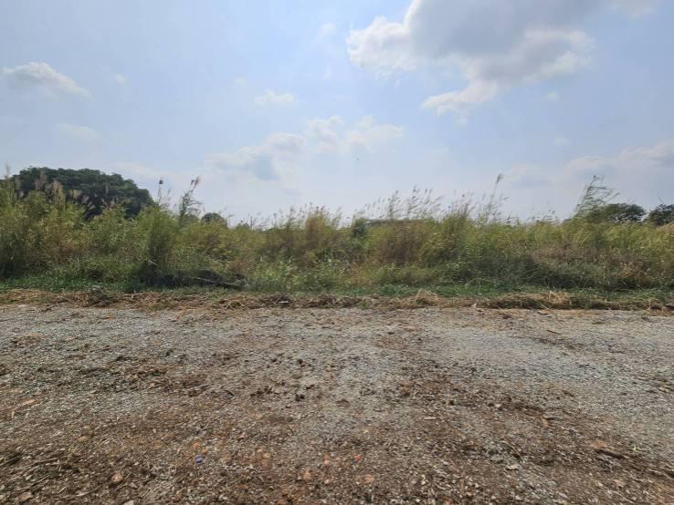 ขายที่ดินเปล่า แปลงมุม  ติดถนน 2 ด้าน ซอยวัดศรีวารีน้อย  อำเภอบางเสาธง สมุทรปราการ 6